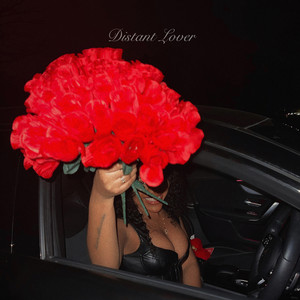 Portada de Distant Lover