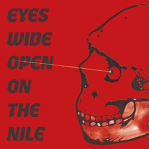 Eyes Wide Open On The Nile