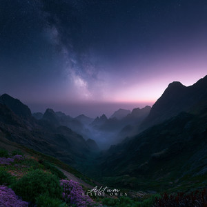Mistgrove by Elliot Owen