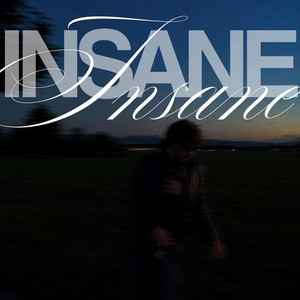 insane by Lil Shinner