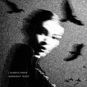 I Always Knew by Midnight Teddy
