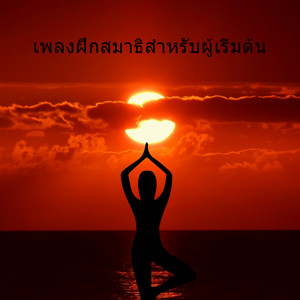 เพลงฝึกสมาธิสำหรับผู้เริ่มต้น - ผ่อนคลายง่าย, ดนตรีบําบัด, ช่วยบรรเทาความเครียด