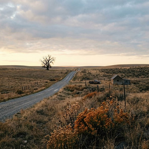 There Is a Light That Never Goes Out by Wade Halloran