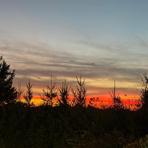 the moon is leaving - am i enough.