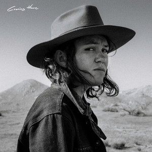 Coming Home - Fay Wildhagen