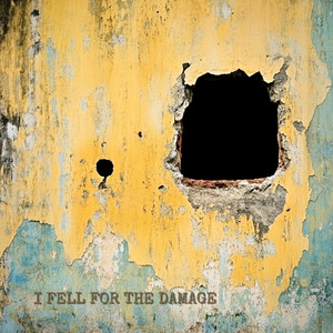 I Fell for the Damage by Zayde