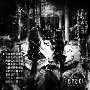 toyoki (HARDTEKK) - Slowed by DJ SÃO FUNK