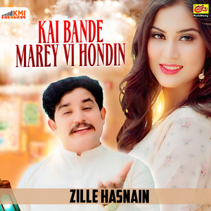 Zille Hasnain - Kai Bande Marey Vi Hondin