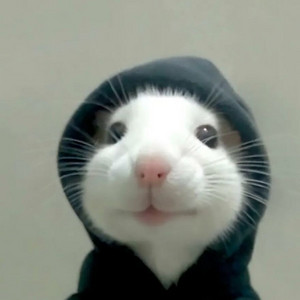 OTF JAM (RAT) by Smurkio Da Voice