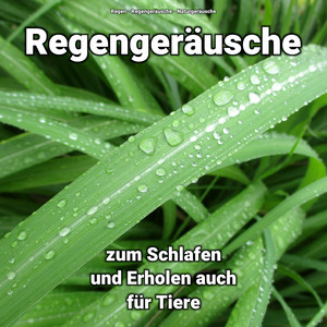 Regengeräusche zum Schlafen und Erholen auch für Tiere album