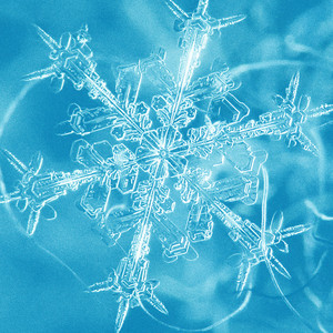Ice by Sevenwyc