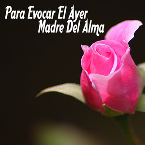 Adriana Santa - La Zarzamora