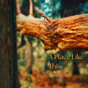 Sczypher - Washington