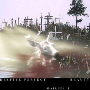 Despite Perfect Beauty