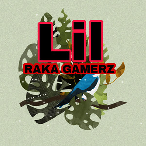 Raka Gamerz - LIL