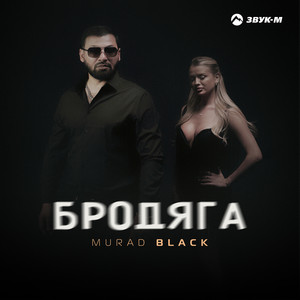 Бродяга