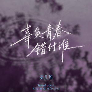 辜负青春错付谁 by 安儿陈