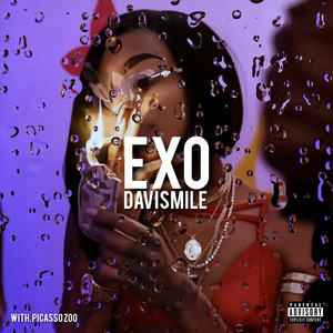 STAY by DavisMile, Picasso Zoo