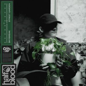 STREET GARDEN cover art