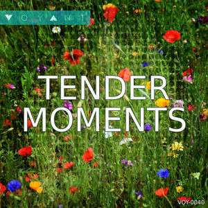 Tender Moments