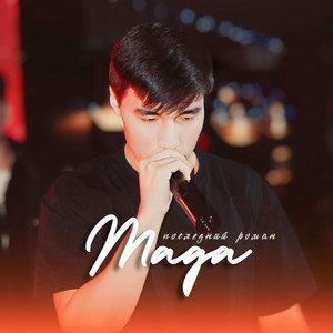 Последний роман