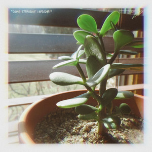 flaw in design — cover art by Jenna Lim