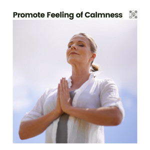 Promote Feeling of Calmness album