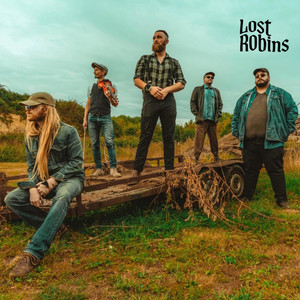 It's Been Raining by Lost Robins