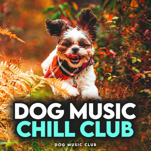 Dog Music Chill Club album