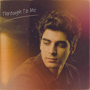 Through To Me by Destiny Dolphins