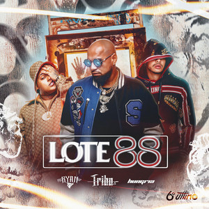 Portada de Lote 88
