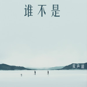 谁不是 by 双声道