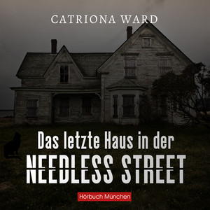 Das letzte Haus in der Needless Street (Thriller)