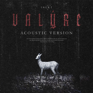 Valýre - Acoustic by INEKT