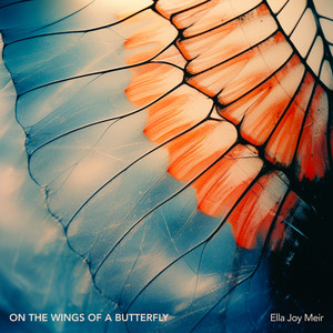 On the Wings of a Butterfly by Ella Joy Meir
