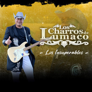 Los Charros De Lumaco - Otro día mas sin verte