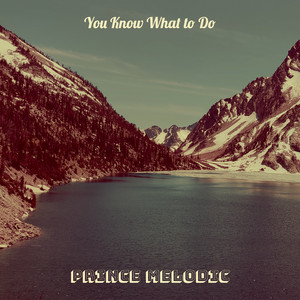 You Know What to Do by Prince Melodic