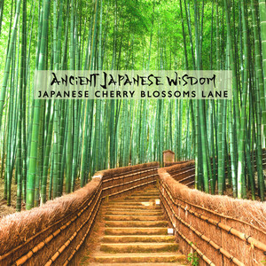 Ancient Japanese Wisdom: Japanese Cherry Blossoms Lane, Japanese Zen album
