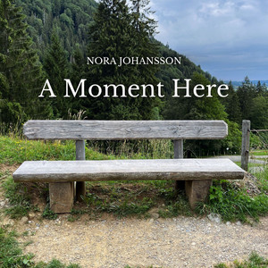 A Moment Here by Nora Johansson