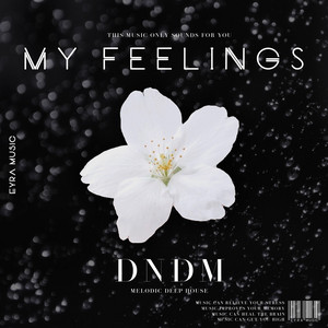 My Feelings by DNDM