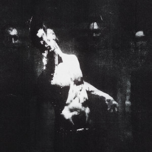 Holywatr - Pure Leaf