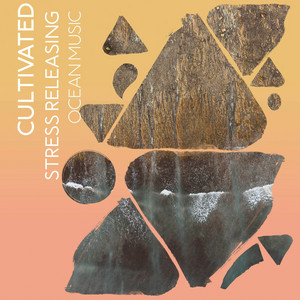 zZz Cultivated Stress Releasing Ocean Music zZz album