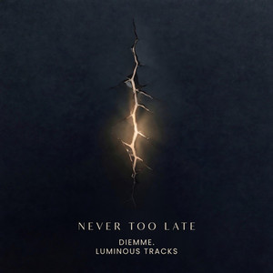 Never Too Late by Diemme.