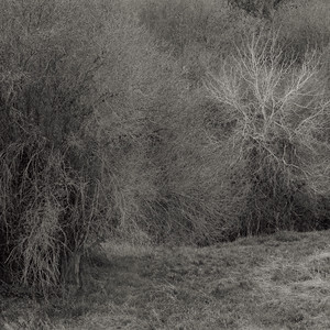 Shortfall by K. Leimer
