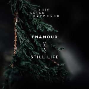 Still Life cover art