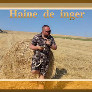 Haine de inger