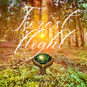 Forest Flight