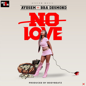 Ayesem - No Love (feat. Bra Desmond)
