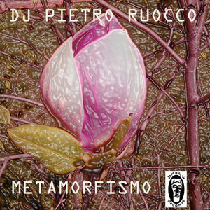 Metamorfismo - Marco Raineri Remix by Dj Pietro Ruocco