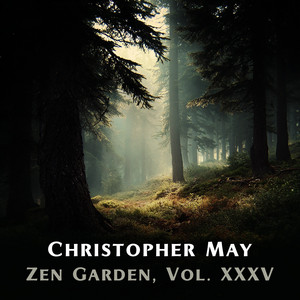 Zenith by Christopher May